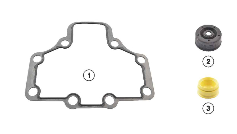 Wabco PAN 17, PAN 19-1, PAN 22-1 Caliper Gasket kit CWSK.12.4